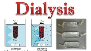 Protein purification  protein dialysis [upl. by Banna]