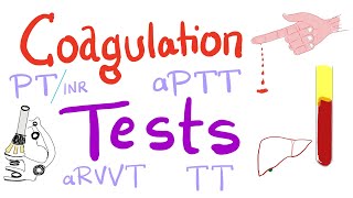 Coagulation Tests  PT aPTT TT Fibrinogen Mixing Studies [upl. by Selrac]