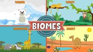 Biomes of the World  Types of Biomes  Video for Kids [upl. by Dorman]