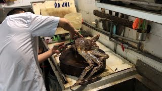 THE BIGGEST ALASKAN KING CRAB ever cooked in Vietnam  Seafood street food in Vietnam [upl. by Keelby]