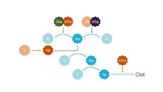 How to interpret mixing studies prolonged PTPTT [upl. by Eipper]