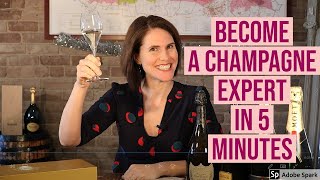 Understanding Champagne in 5 minutes or less [upl. by Sugihara274]