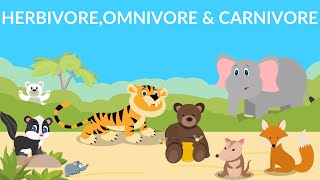 Herbivores  Carnivores  Omnivores  Types of Animals [upl. by Kelcy338]