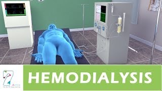 Hemodialysis [upl. by Hctub160]