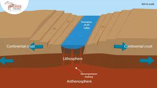 Tectonic Processes  Compilation [upl. by Novled]