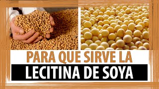 PARA QUE SIRVE LA LECITINA DE SOYA  BENEFICIOS DE LA LECITINA DE SOYA [upl. by Mendie953]