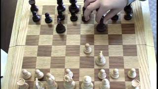 Real chess Checkmate in 5 Moves [upl. by Blondy248]