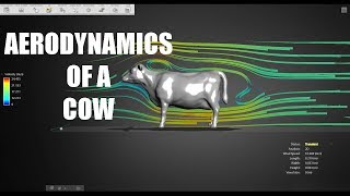 Aerodynamics of a Cow [upl. by Melantha704]