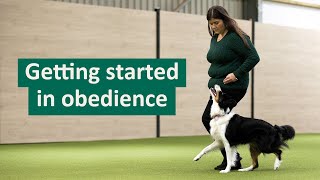 How to get started in Dog Obedience [upl. by Odravde]