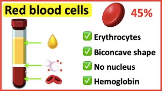 Red blood cells  What do red blood cells do [upl. by Rehpotsirc196]