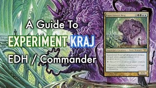 MTG  A Guide to Experiment Kraj Commander  EDH for Magic The Gathering [upl. by Rodger277]