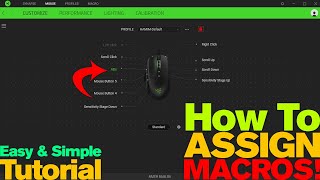 How to Assign MACRO to Razer Mouse  2019 [upl. by Adnowal897]