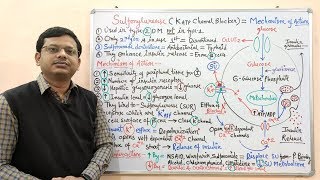 Diabetes Mellitus Part10 Mechanism of Action of Sulfonylurease  Antidiabetic Drugs  Diabetes [upl. by Jehius726]