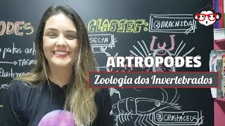 Zoologia dos Invertebrados  ARTRÓPODES 🐵📚 [upl. by Eirdua]