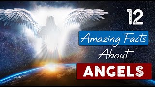 INCREDIBLE TRUTH about ANGELS  12 Facts you need to know [upl. by Nashbar]