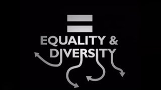 What is Equality amp Diversity [upl. by Vevay]