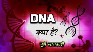 What is DNA With Full Information – Hindi – Quick Support [upl. by Rothstein]