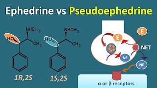 Ephedrine vs Pseudoephedrine  Similarities and differences [upl. by Yaeger953]