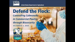 Controlling Salmonella in Commercial Poultry through Biosecurity [upl. by Haiel]