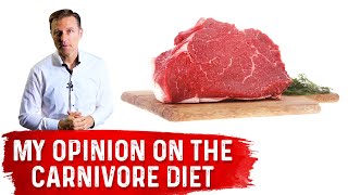 Dr Bergs Opinion on Carnivore Diet [upl. by Norrek]