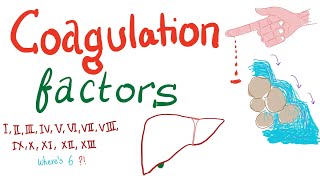 Coagulation Factors  Hemostasis  Hematology [upl. by Claire]