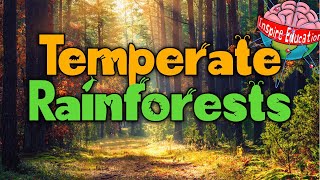 What are temperate rainforests [upl. by Roper]