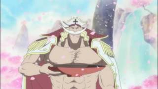 Whitebeard amp Gol D Roger Last Meeting English Dubbed [upl. by Dedie]