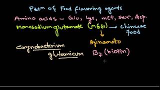 Monosodium glutamate production [upl. by Ahsienauq]