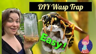 DIY Wasp Trap [upl. by Sandy]