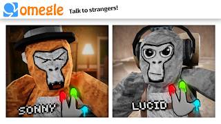 OMEGLE Trolling in Gorilla Tag [upl. by Aisined]