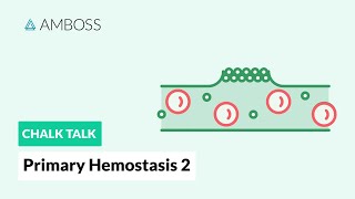 Primary Hemostasis  Part 2 Platelet Activation [upl. by Yebloc]