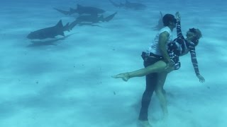 Dancing with Sharks Shark Couple Ocean Ramsey amp JuanSharks [upl. by Volkan680]