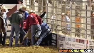 Horse killed at the Cowtown Rodeo [upl. by Trakas]