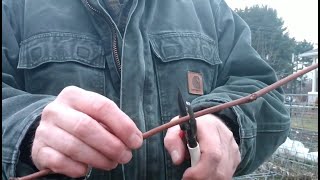 Spring Pruning How To Prune Concord Grape Vines [upl. by Ymerrej523]