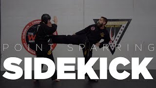 Point Sparring Techniques  Sidekick [upl. by Oliy]