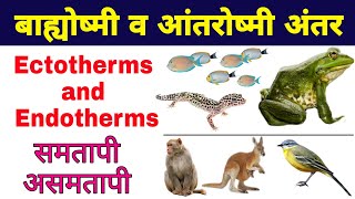 बाह्योष्मी और आंतरोष्मी में अंतर हिंदी में  ectotherms and endotherms in hindi  biology ScienceSK [upl. by Silvia]