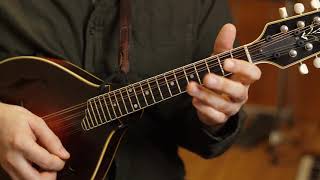 Chinquapin Hunting D Major Simple To Complex  Mandolin Lesson [upl. by Derrick59]