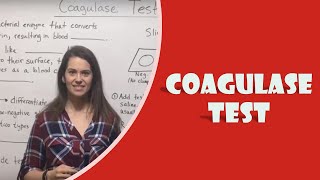 Coagulase Test [upl. by Essy]