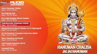 Hanuman Chalisa By Hari Om Sharan  Hindi Devotional Songs  Hanuman Bhajans Jukebox [upl. by Griffy]